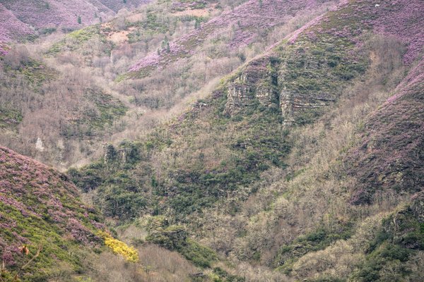 Quels sont les éléments clés d'un plan de succession efficace en management ?